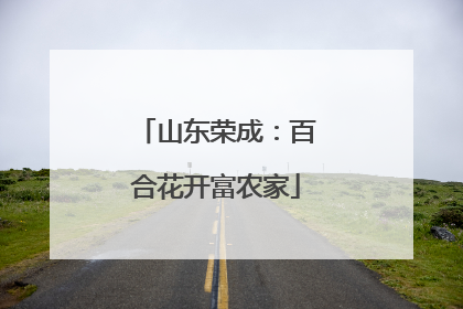 山东荣成：百合花开富农家