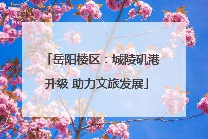 岳阳楼区：城陵矶港升级 助力文旅发展