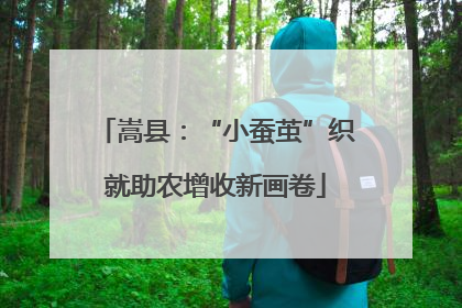 嵩县：“小蚕茧”织就助农增收新画卷