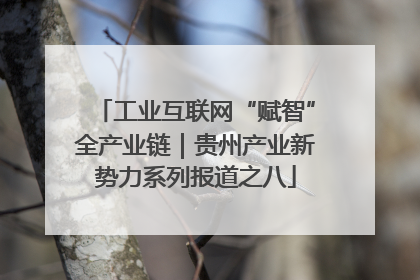 工业互联网“赋智”全产业链｜贵州产业新势力系列报道之八