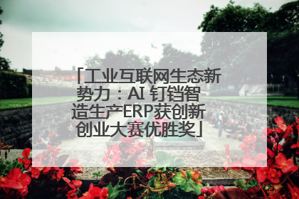 工业互联网生态新势力：AI 钉铛智造生产ERP获创新创业大赛优胜奖