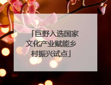 巨野入选国家文化产业赋能乡村振兴试点