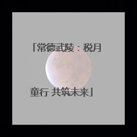 常德武陵：税月童行 共筑未来