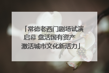 常德老西门剧场试演启幕 盘活国有资产 激活城市文化新活力