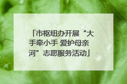 市枢纽办开展“大手牵小手 爱护母亲河”志愿服务活动