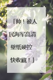 帅！被人民海军高清壁纸硬控 快收藏！