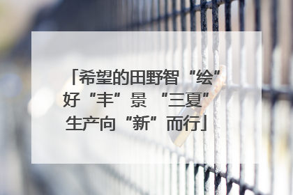 希望的田野智“绘”好“丰”景 “三夏”生产向“新”而行