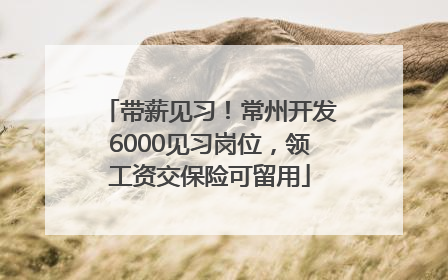 带薪见习！常州开发6000见习岗位，领工资交保险可留用