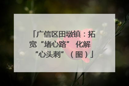 广信区田墩镇：拓宽“堵心路” 化解“心头刺”（图）