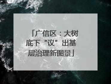 广信区：大树底下“议”出基层治理新图景