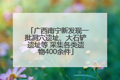 广西南宁新发现一批洞穴遗址、大石铲遗址等 采集各类遗物400余件