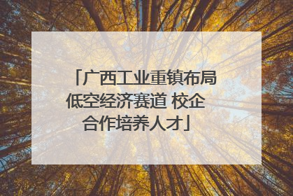 广西工业重镇布局低空经济赛道 校企合作培养人才