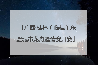 广西·桂林（临桂）东盟城市龙舟邀请赛开赛