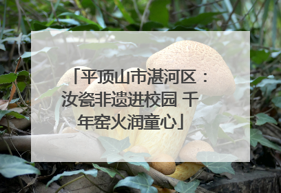 平顶山市湛河区：汝瓷非遗进校园 千年窑火润童心