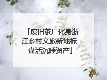废旧茶厂化身浙江乡村文旅新地标 盘活沉睡资产