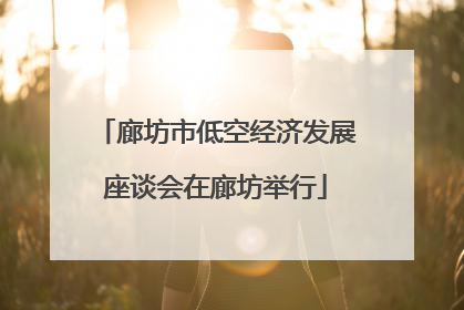 廊坊市低空经济发展座谈会在廊坊举行