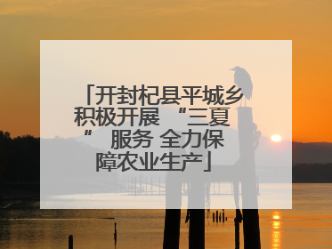 开封杞县平城乡积极开展 “三夏” 服务 全力保障农业生产
