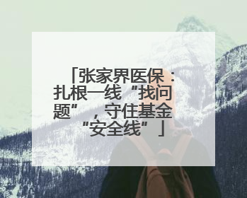 张家界医保：扎根一线“找问题”，守住基金“安全线”