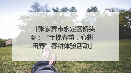 张家界市永定区桥头乡：“手挽春苗，心耕田野”春耕体验活动