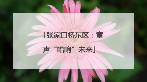 张家口桥东区：童声“唱响”未来