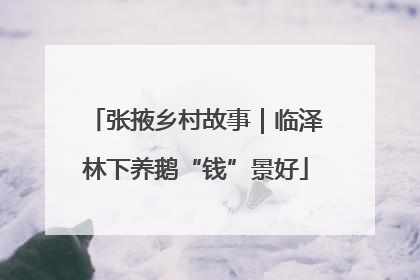 张掖乡村故事｜临泽林下养鹅“钱”景好