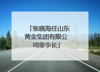 张晓海任山东黄金集团有限公司董事长