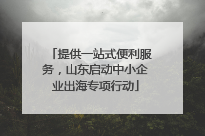 提供一站式便利服务，山东启动中小企业出海专项行动