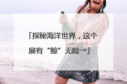 探秘海洋世界，这个展有“鲸”无险→