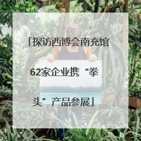 探访西博会南充馆 62家企业携“拳头”产品参展