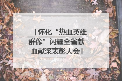 怀化“热血英雄群像”闪耀全省献血献浆表彰大会