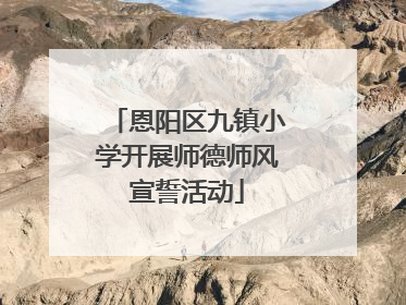 恩阳区九镇小学开展师德师风宣誓活动