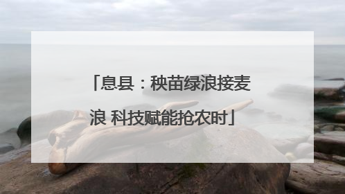 息县：秧苗绿浪接麦浪 科技赋能抢农时