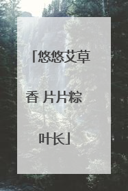 悠悠艾草香 片片粽叶长