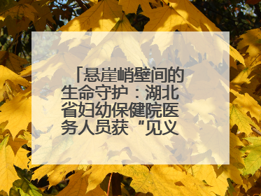 悬崖峭壁间的生命守护：湖北省妇幼保健院医务人员获“见义勇为”表彰