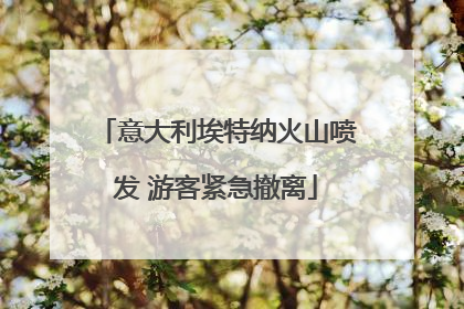 意大利埃特纳火山喷发 游客紧急撤离