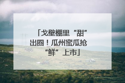 戈壁棚里“甜”出圈！瓜州蜜瓜抢“鲜”上市