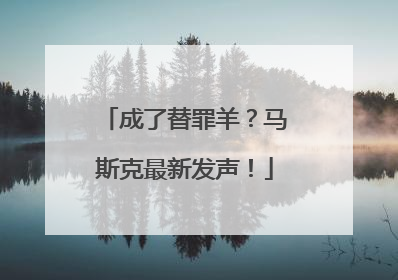成了替罪羊？马斯克最新发声！