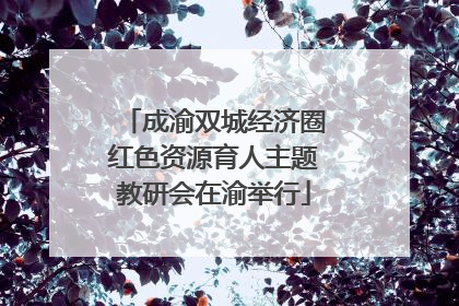 成渝双城经济圈红色资源育人主题教研会在渝举行