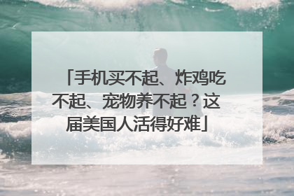 手机买不起、炸鸡吃不起、宠物养不起？这届美国人活得好难