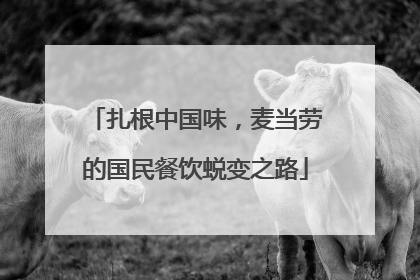 扎根中国味，麦当劳的国民餐饮蜕变之路
