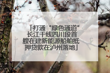 打通“绿色通道” 长江干线四川段首艘在建新能源船舶抵押贷款在泸州落地