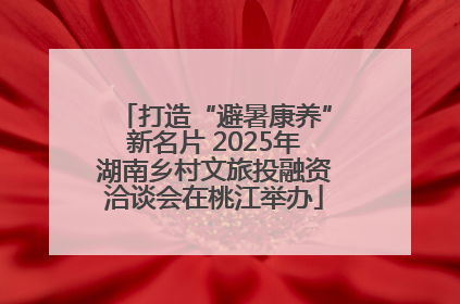 打造“避暑康养”新名片 2025年湖南乡村文旅投融资洽谈会在桃江举办