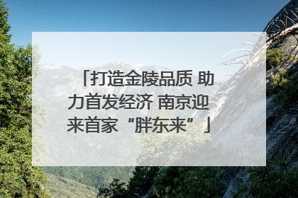 打造金陵品质 助力首发经济 南京迎来首家“胖东来”
