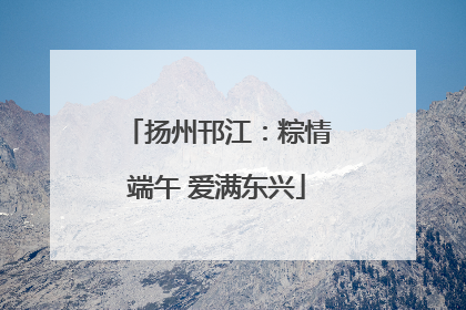 扬州邗江：粽情端午 爱满东兴