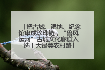把古城、湿地、纪念馆串成珍珠链，“鲁风运河”古城文化廊道入选十大最美农村路
