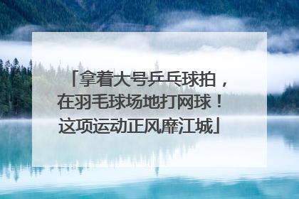 拿着大号乒乓球拍，在羽毛球场地打网球！这项运动正风靡江城