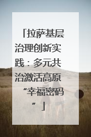 拉萨基层治理创新实践：多元共治激活高原“幸福密码”