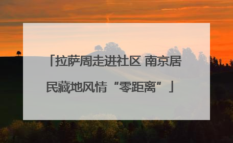 拉萨周走进社区 南京居民藏地风情“零距离”
