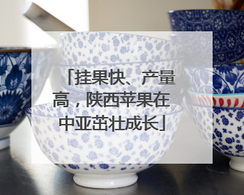 挂果快、产量高，陕西苹果在中亚茁壮成长