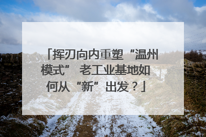 挥刃向内重塑“温州模式” 老工业基地如何从“新”出发？